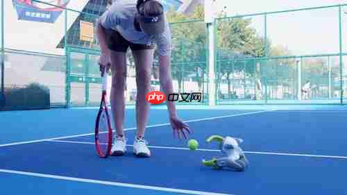 Loona宠物机器人“萌翻”2025中网球场