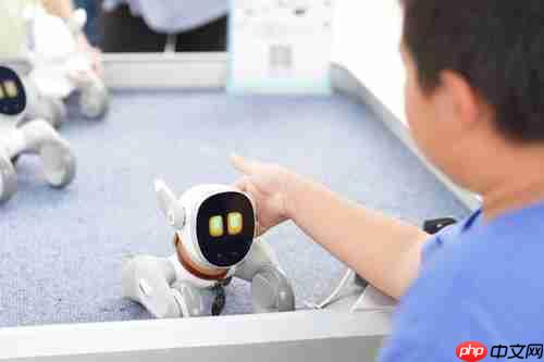 Loona宠物机器人“萌翻”2025中网球场