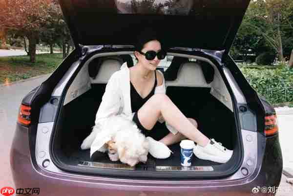 刘亦菲开智界R7国庆自驾游 白衬衫黑吊带松弛感拉满