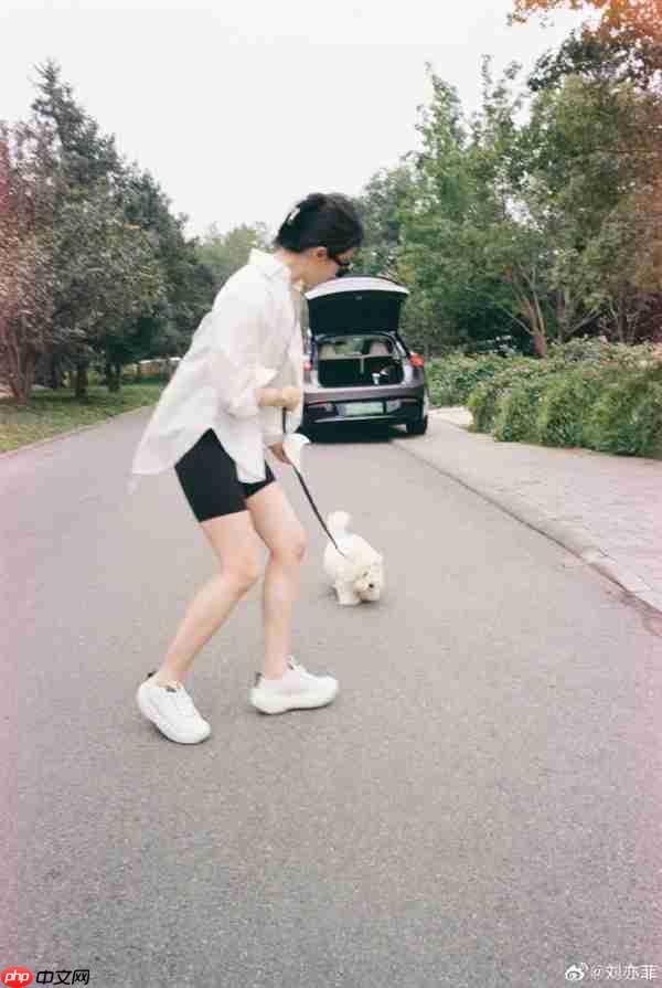 刘亦菲开智界R7国庆自驾游 白衬衫黑吊带松弛感拉满