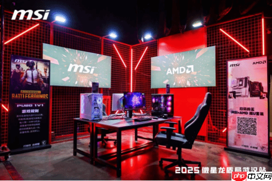 微星2025龙盾局武汉站盛大举办，超频盛宴共绘硬件江湖