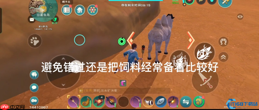 驯服沙海之舟：面包岛沙漠骆驼捕捉终极手册