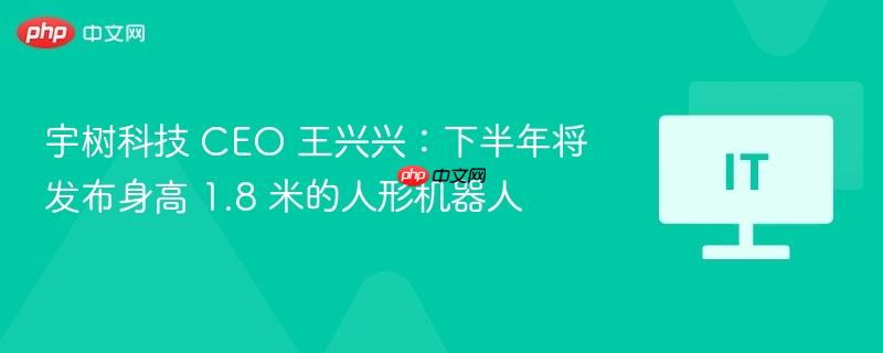 宇树科技 CEO 王兴兴：下半年将发布身高 1.8 米的人形机器人