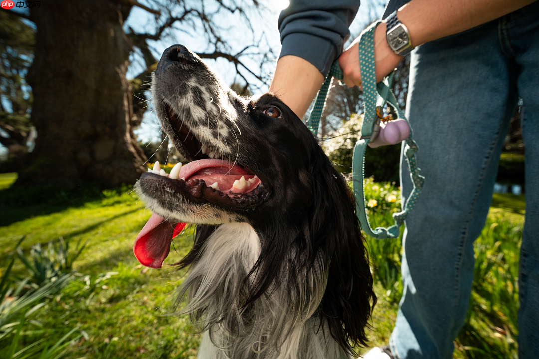 仅售999元！唯卓仕AF9mm F2.8 Air超广角自动镜头来了！