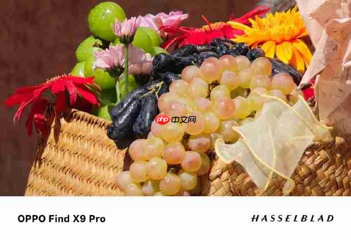 OPPO Find X9系列首创“哈苏8K超清照片”：从纸面像素到真实体验的跨越