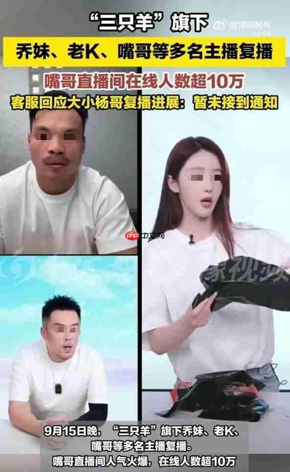 嘴哥复播10万人围观！三只羊低调回归，今年还卖月饼吗？