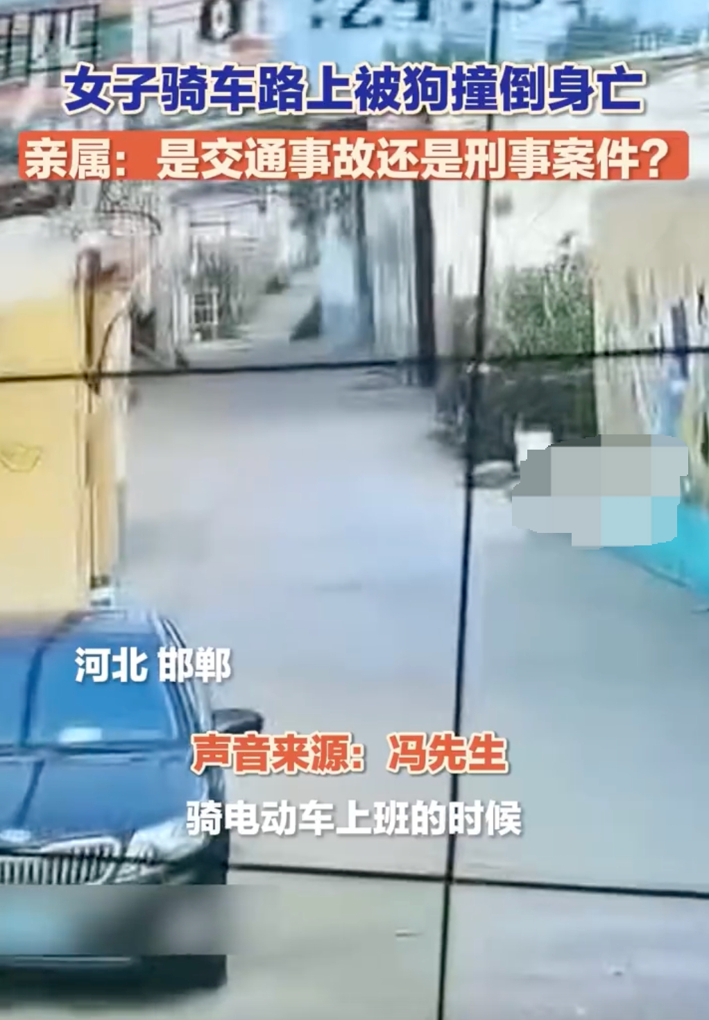 未拴绳大狗撞倒女子致其当场死亡：目前一直没有结果 - php中文网