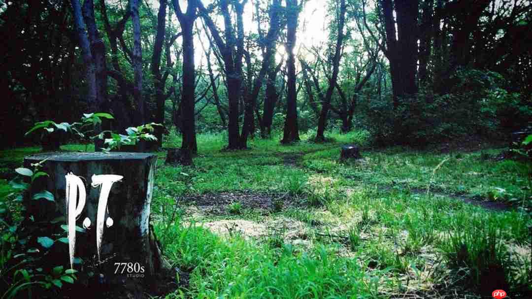 影响巨大！神谷英树希望小岛秀夫制作像《p.t.》的游戏