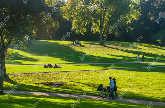 过度防晒的代价：当“美白”遇上骨质疏松 - php中文网