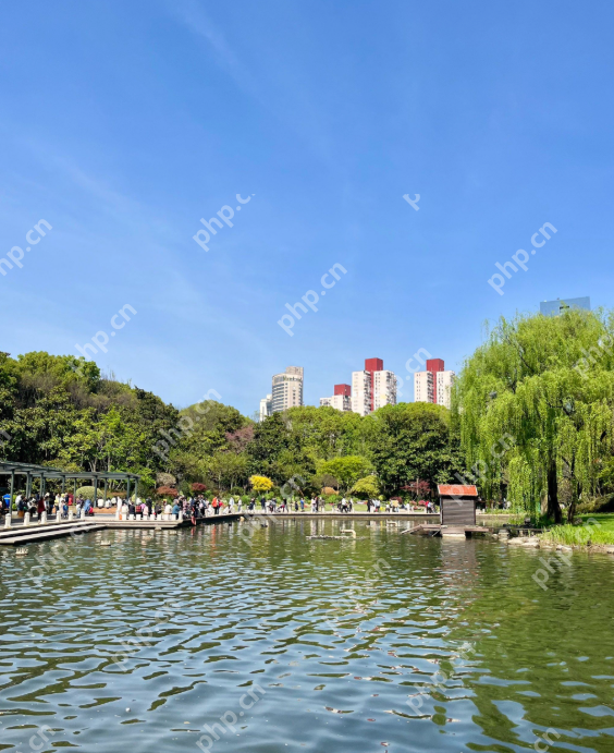 上海提前完成“千园之城”建设目标，公园总数达1013座 - php中文网