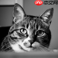 一粒墨滴的逆袭：爱普生黑科技如何让打印“快准省”