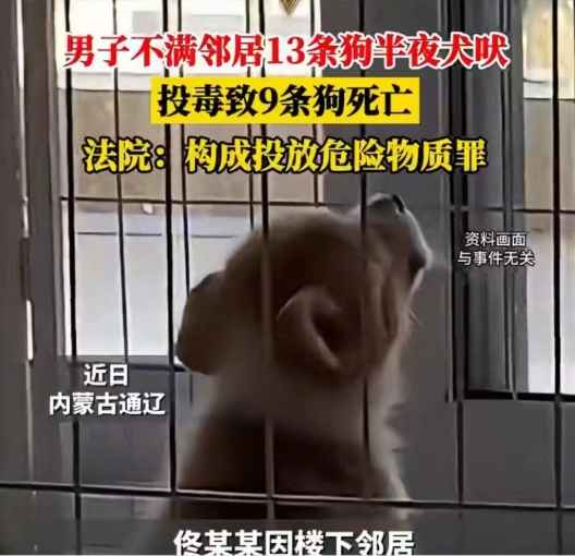 不满13条狗半夜叫扰毒死9只获刑是怎么回事？详情介绍 - php中文网