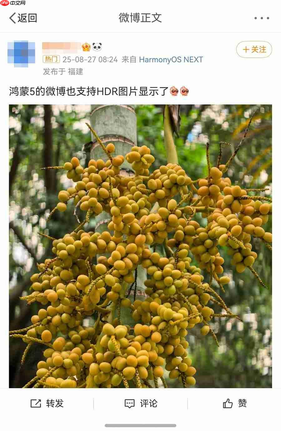 鸿蒙版微博已支持HDRVivid，画面更鲜活！社交、创作体验持续完善