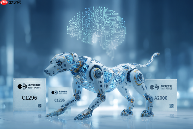 黑芝麻智能与云深处科技达成战略合作，共推具身智能平台全球市场应用