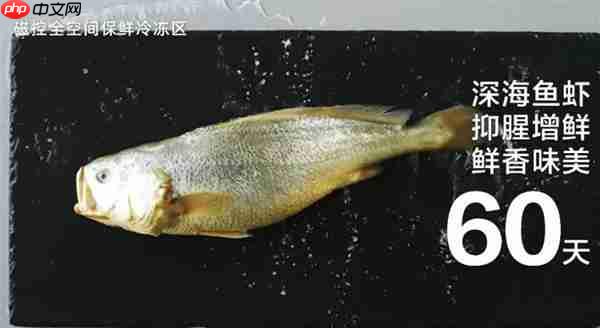 海尔麦浪冰箱新品开放麦落地杭州  呼兰点赞