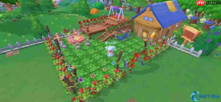 玫瑰经济学：珍稀种子的高效培育与价值转化全攻略