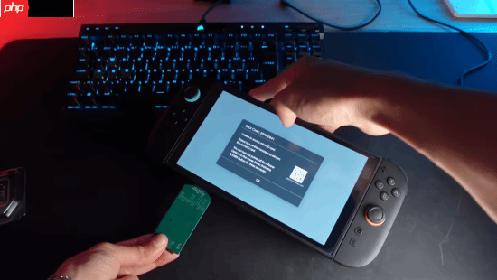 握手协议仍需攻关 玩家尝试为NS2魔改转接NVMe固态