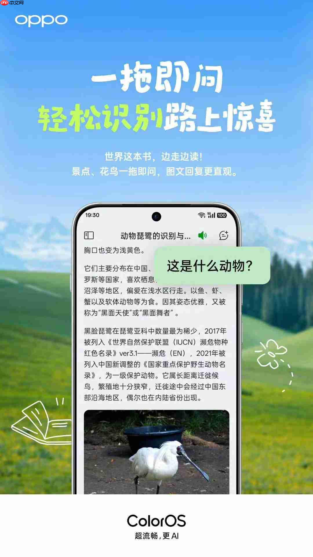 ColorOS智慧升级：小布助手化身考后“减压器”与毕业旅行“规划师”