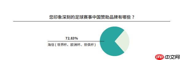 《中国足球环境及未来发展白皮书（2025）》发布：100吋大屏电视成标配