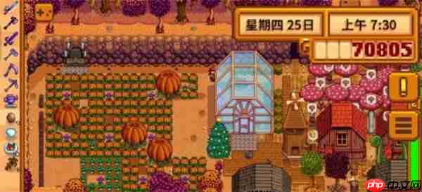 星露谷物语巨大作物种植终极秘籍