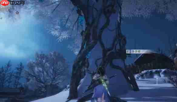 燕云十六声明亮的星任务超详细通关指南