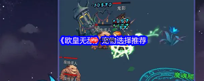 音贝才是王道  欧皇无敌宠物选择终极避坑指南