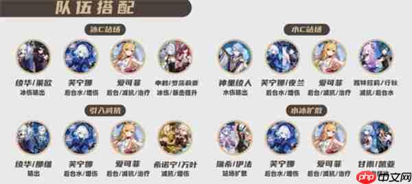 原神爱可菲全面培养指南：装备选择与阵容搭配技巧全解析