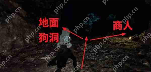 光与影 33 号远征队繁叶结获取攻略：阴森洞穴寻宝指南