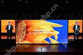 HarmonyOS NEXT公测机型和时间是什么_HarmonyOS NEXT最新公测机型及时间介绍