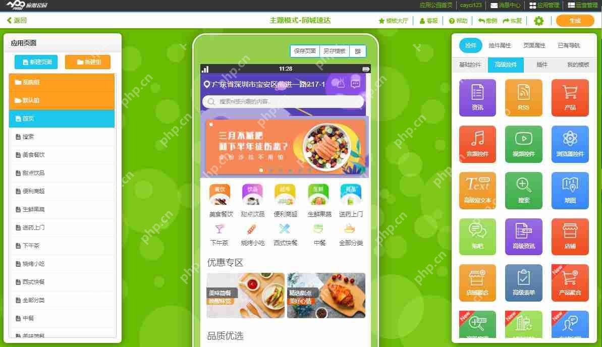 国内APP软件开发的一般方式是怎样的？