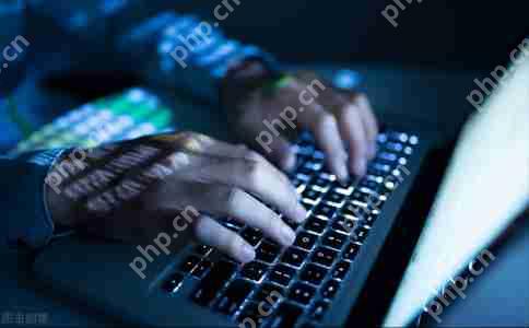 从入门到精通：让你成为软件制作的行家里手