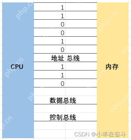 C语言（指针）1