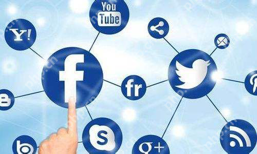 社交电商崛起，如何抓住2019较大的创业红利？