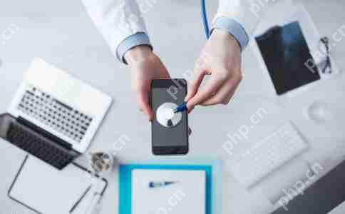 软件制作费用结构不同的定价模型有何影响？