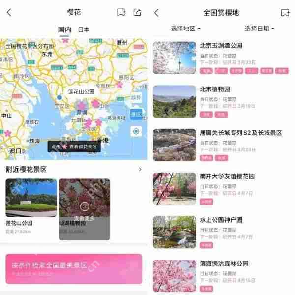春日繁花上线！墨迹天气预报App推出赏花路线动态地图