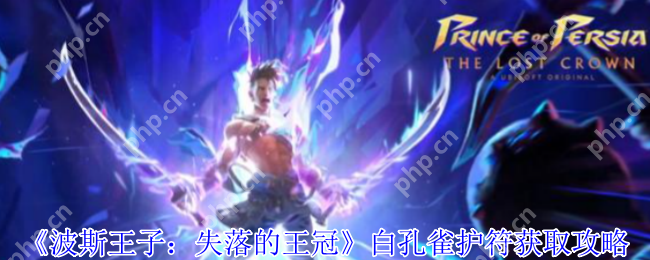 波斯王子失落的王冠白孔雀护符速刷攻略 沉港隐藏房间路线详解