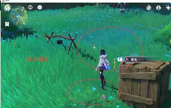 《原神》堇瓜点位分享-堇瓜采集线路推荐