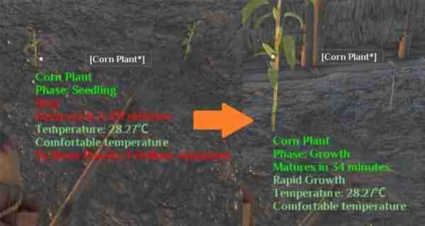 《灵魂面甲》作物自动化种植指南