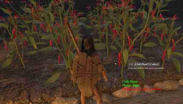 《灵魂面甲》作物自动化种植指南