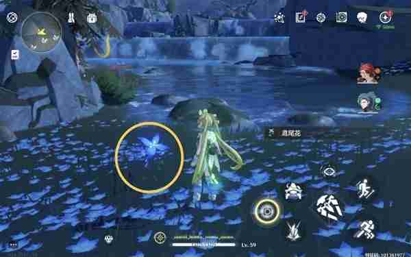 《鸣潮》鸢尾花位置说明-鸢尾花采集线路分享