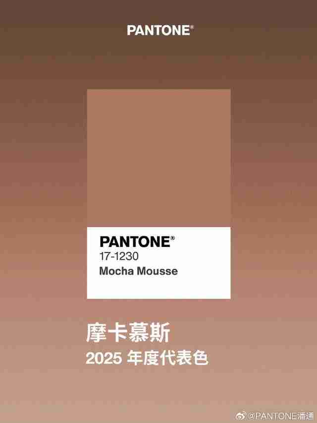 PANTONE潘通2025年代表色“摩卡慕斯”公布