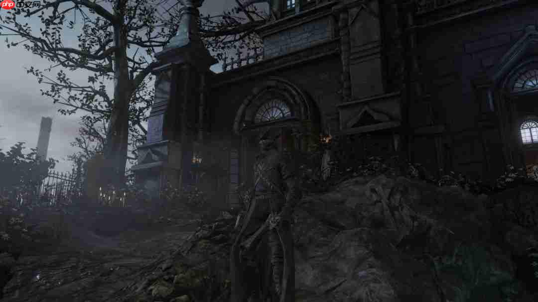 《血源》PC版画面mod发布更新 动态光影重塑雅南风光