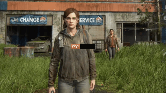 惊喜!《最后生还者2》多人模式有望“复活” 模组大神出手突破