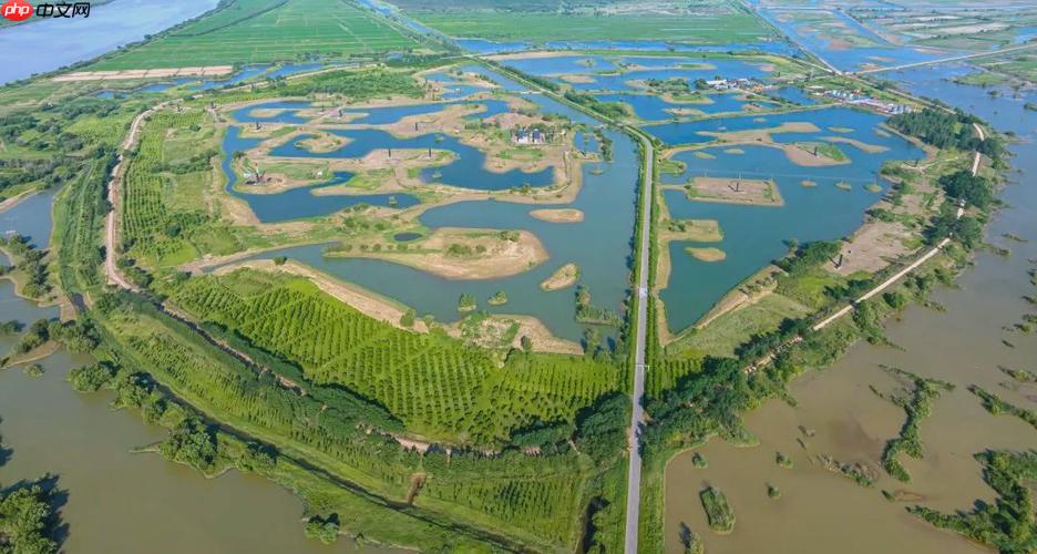 三角洲游戏中心入口 官方资讯活动专区