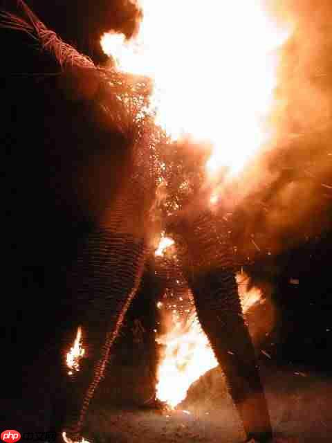 诡异又迷人！《神界》预告片获《神界：原罪2》演员点赞