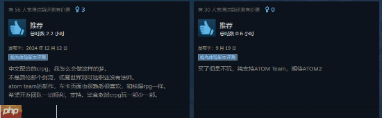 《核爆RPG》开发商新作《剑湾奇旅》结束EA正式发售：国区首发82元 获特别好评