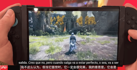 NS2《艾尔登法环》优化可喜！可算能正常玩了