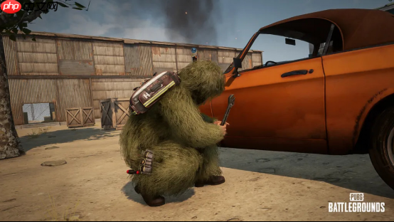 《PUBG》39.1版本更新，开启奇幻冬日盛典