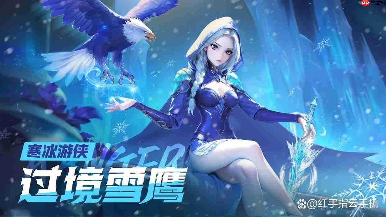 酋长你别跑5套高性价比阵容开荒到进阶无缝衔接