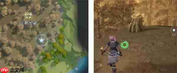 荒原曙光瘴气沼泽隐藏宝箱全收集汇总